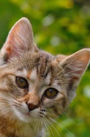 Cover of Charming Tabby Kitten Journal