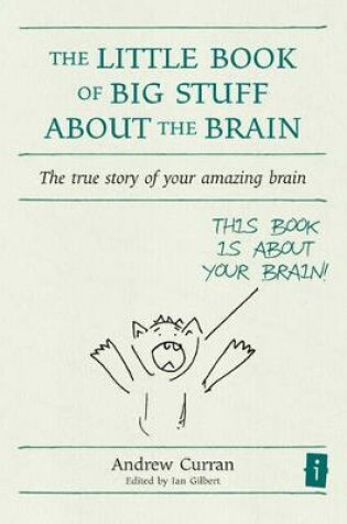 Cover of The Little Book of Big Stuff about the Brain