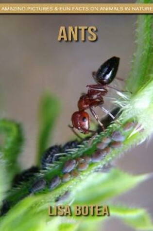 Cover of Ants