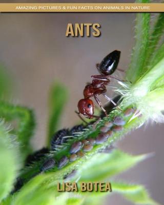 Cover of Ants