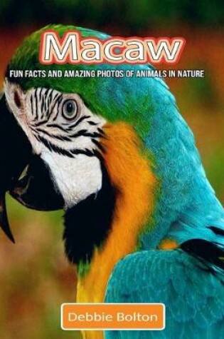 Cover of Macaw