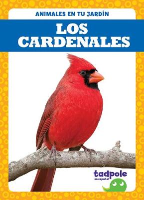 Book cover for Los Cardenales (Cardinals)