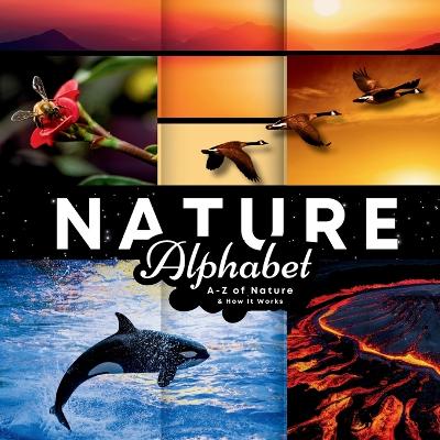 Book cover for Nature Alphabet