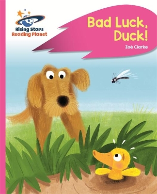 Book cover for Reading Planet - Bad Luck, Duck! - Pink B: Rocket Phonics