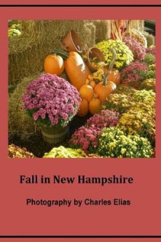 Cover of Fall in New Hampshire