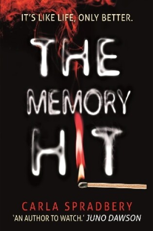 Cover of The Memory Hit