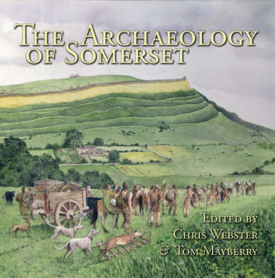 Book cover for Archaeology of Somerset