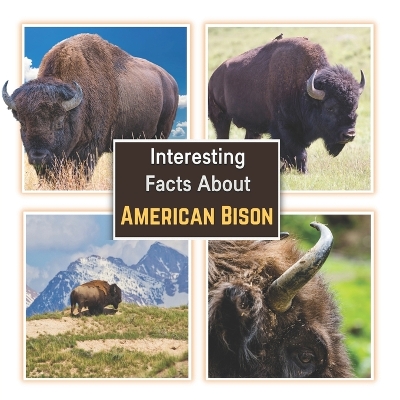 Book cover for Interesting Facts about American Bison