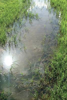 Book cover for Grass Lined Creek