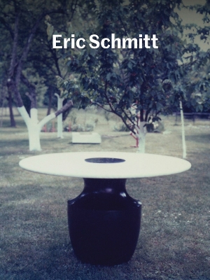 Book cover for Eric Schmitt