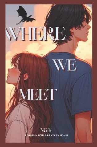 Cover of Where We Meet