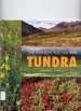 Book cover for Tundra