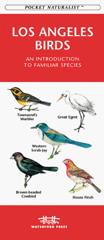 Book cover for Los Angeles Birds