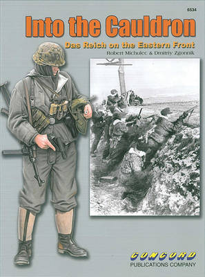 Book cover for 6534: into the Cauldron: Das Reich on the Eastern Front