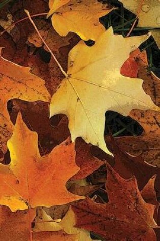 Cover of Autumn Leaves Journal