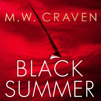 Book cover for Black Summer