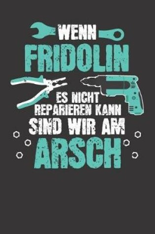 Cover of Wenn FRIDOLIN es nicht reparieren kann