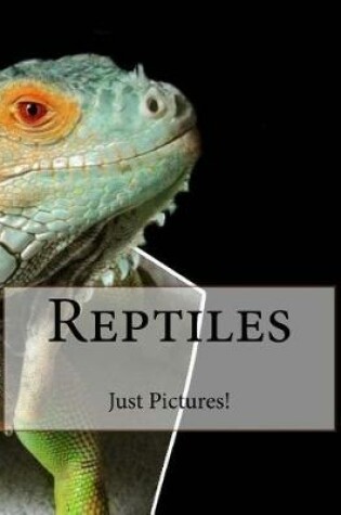 Cover of Reptiles