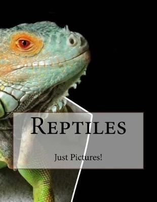 Book cover for Reptiles