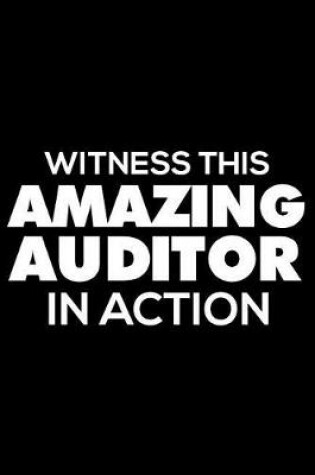 Cover of Witness This Amazing Auditor in Action
