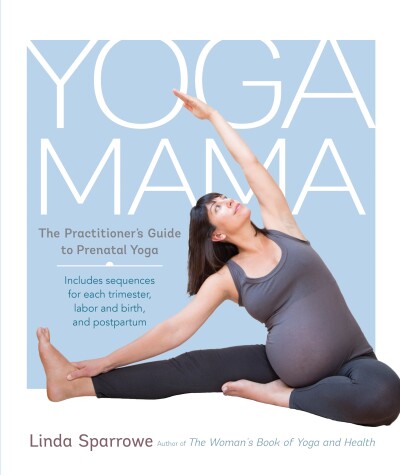 Book cover for Yoga Mama