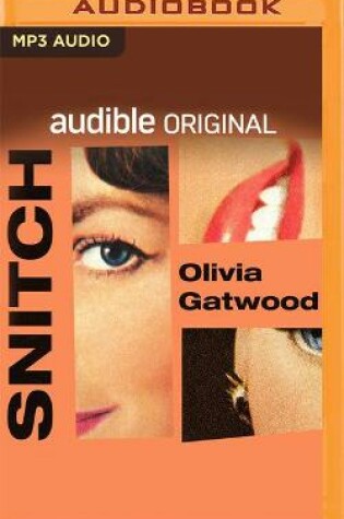 Cover of Snitch