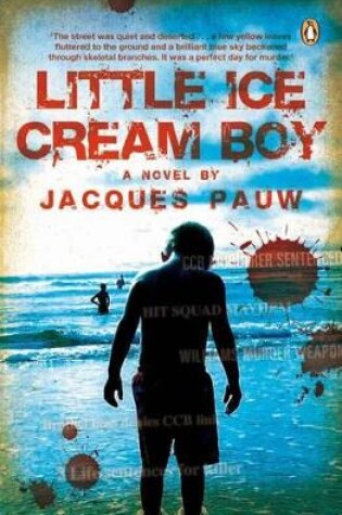 Cover of Little ice cream boy