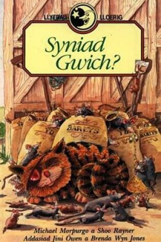 Cover of Llyfrau Lloerig: Syniad Gwich?