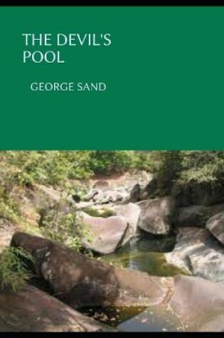 Cover of THE DEVIL'S POOL (Annotated)