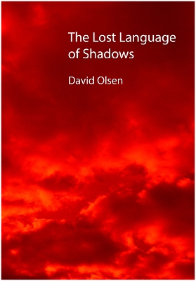 Book cover for The Lost Language of Shadows