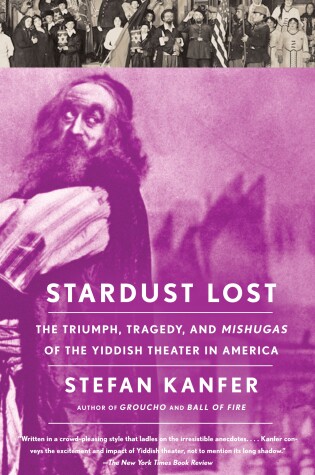 Cover of Stardust Lost