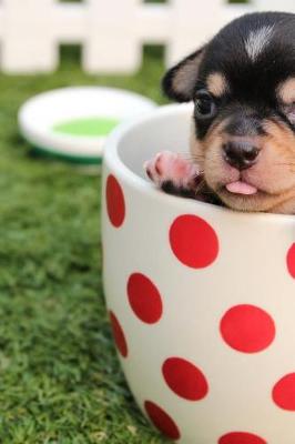 Book cover for Cute Chihuahua Puppy Dog in a Polka Dot Cup Journal