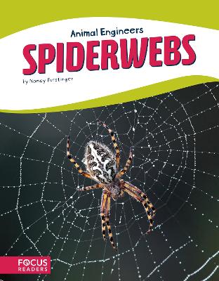 Book cover for Animal Engineers: Spiderwebs