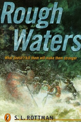 Cover of Rough Waters