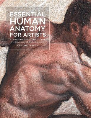 Book cover for Essential Human Anatomy for Artists