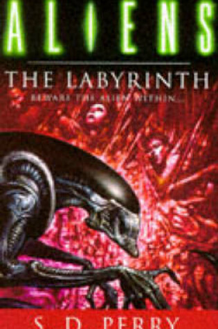 Cover of The Labyrinth, The