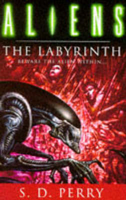 Book cover for The Labyrinth, The