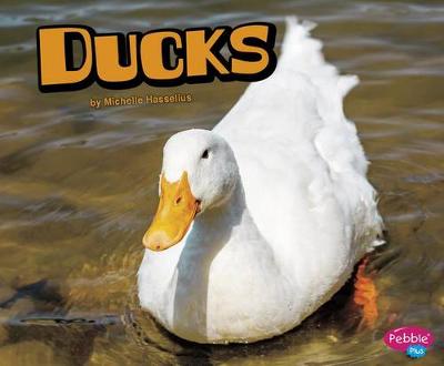 Book cover for Ducks