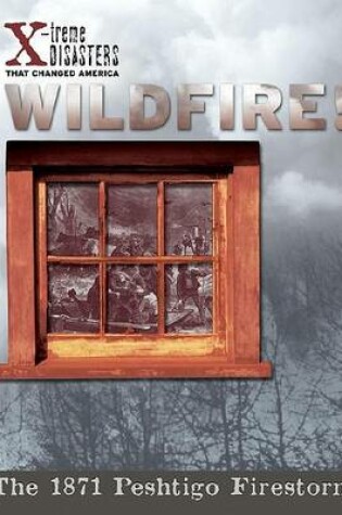 Cover of Wildfire!