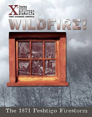 Book cover for Wildfire!