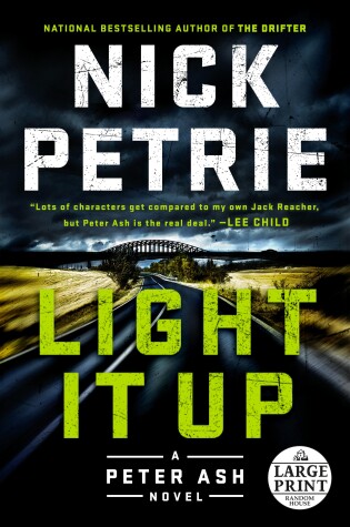 Book cover for Light It Up