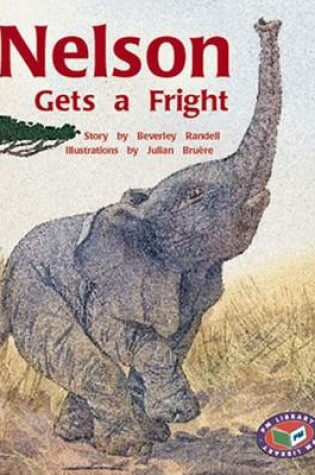 Cover of Nelson Gets a Fright