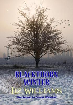 Book cover for Blackthorn Winter