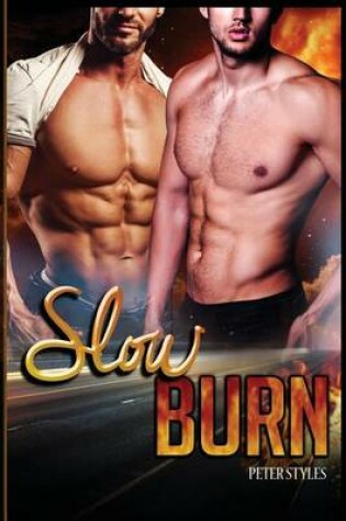 Cover of Slow Burn