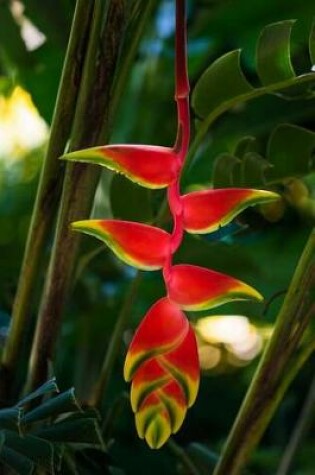 Cover of Hanging Lobster Claw Helliconia Rostrata Tropical Flower Journal