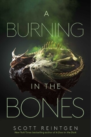 Cover of A Burning in the Bones