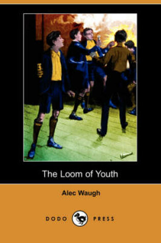 Cover of The Loom of Youth (Dodo Press)