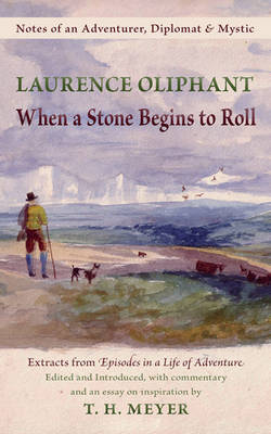 Book cover for When a Stone Begins to Roll