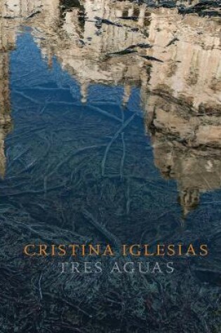 Cover of Cristina Iglesias: Tres Aguas
