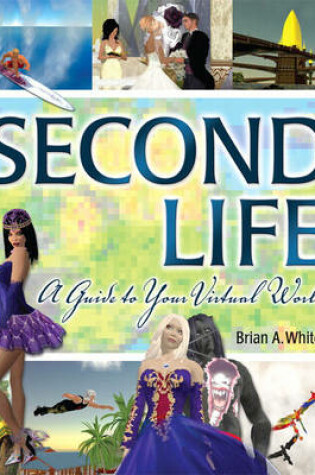 Cover of Second Life